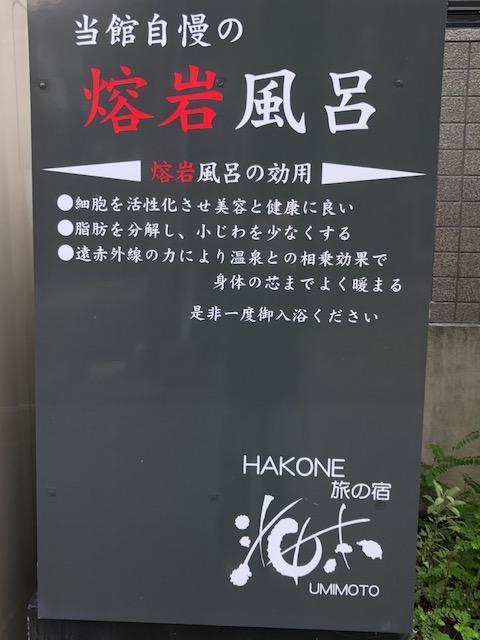 Umimoto Hotel Hakone Zewnętrze zdjęcie