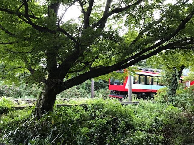 Umimoto Hotel Hakone Zewnętrze zdjęcie