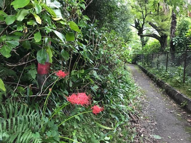 Umimoto Hotel Hakone Zewnętrze zdjęcie