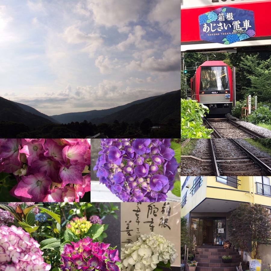 Umimoto Hotel Hakone Zewnętrze zdjęcie
